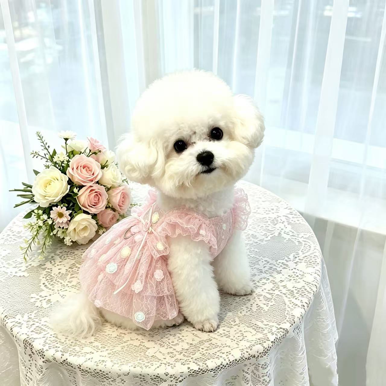 Pet Spring & Summer Chiffon Pr - огляд і ціна Summer Rose Clothing