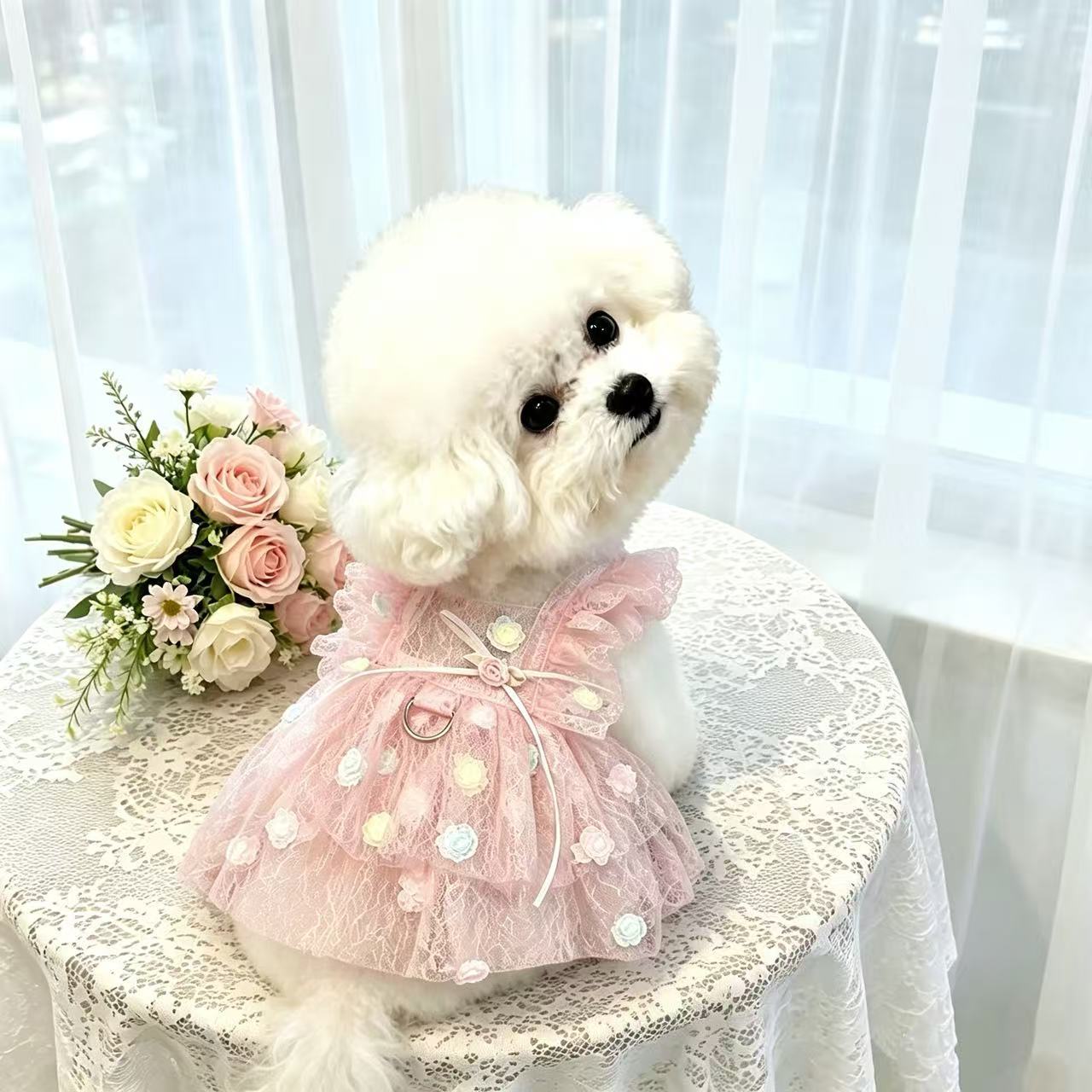 Pet Spring & Summer Chiffon Pr - огляд і ціна Summer Rose Clothing