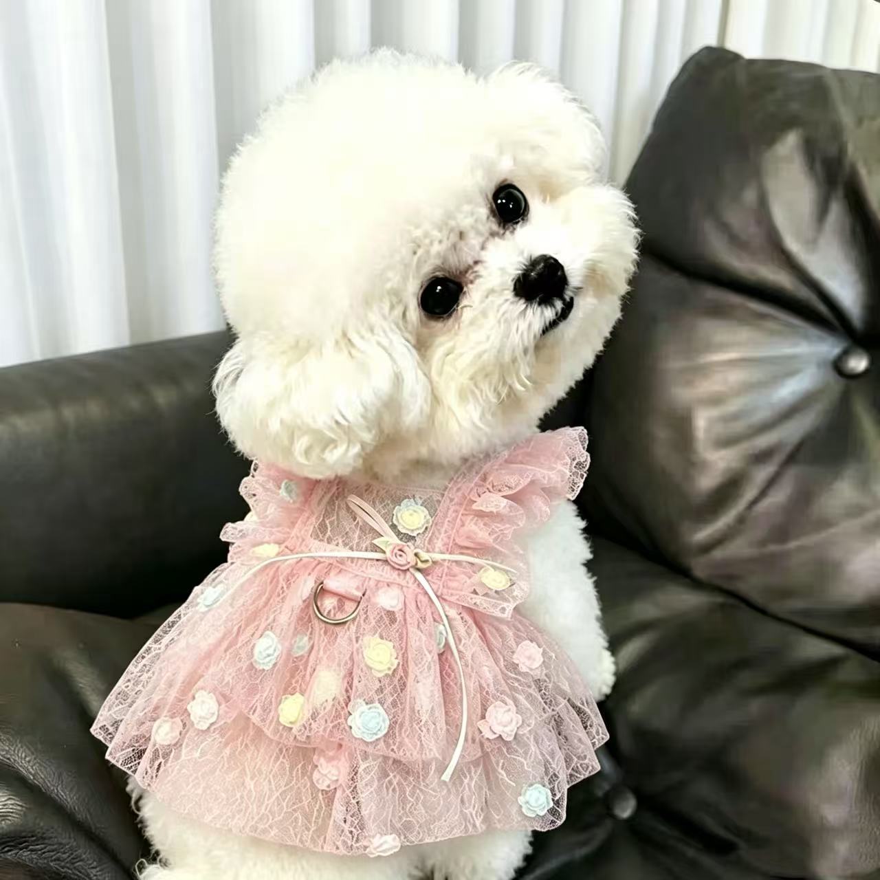 Pet Spring & Summer Chiffon Pr - огляд і ціна Summer Rose Clothing